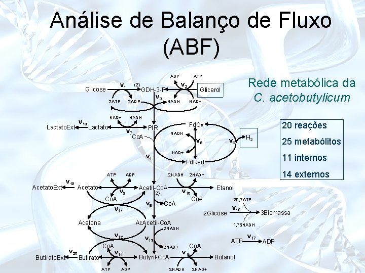 Análise de Balanço de Fluxo (ABF) ADP v 1 Glicose Lactato. Ext v 18