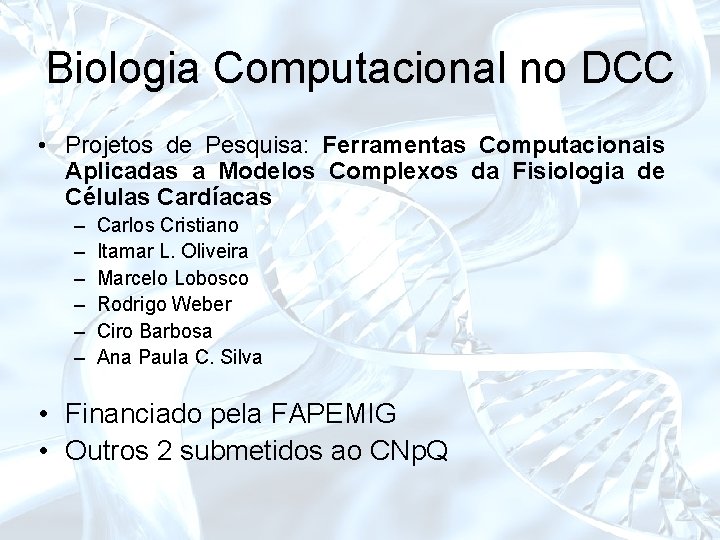 Biologia Computacional no DCC • Projetos de Pesquisa: Ferramentas Computacionais Aplicadas a Modelos Complexos