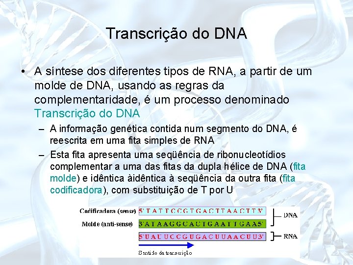 Transcrição do DNA • A síntese dos diferentes tipos de RNA, a partir de