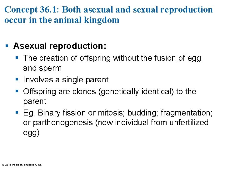 Concept 36. 1: Both asexual and sexual reproduction occur in the animal kingdom §