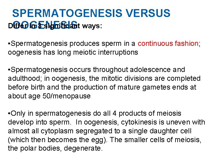 SPERMATOGENESIS VERSUS Differ in 3 significant ways: OOGENESIS • Spermatogenesis produces sperm in a