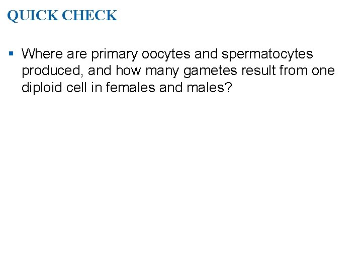 QUICK CHECK § Where are primary oocytes and spermatocytes produced, and how many gametes