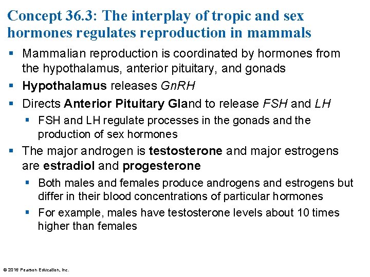 Concept 36. 3: The interplay of tropic and sex hormones regulates reproduction in mammals