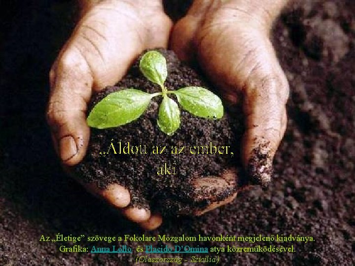 Az „Életige” szövege a Fokolare Mozgalom havonként megjelenő kiadványa. Grafika: Anna Lollo és Placido