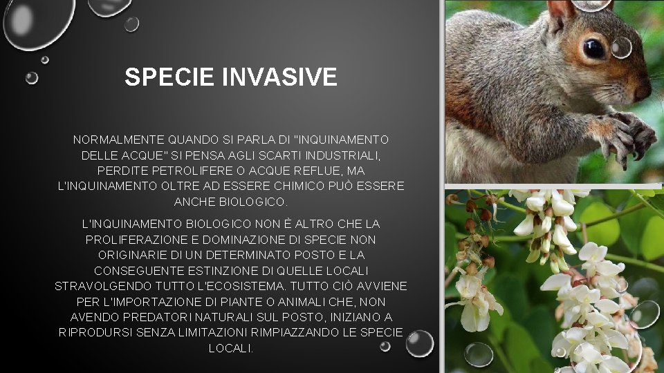 SPECIE INVASIVE NORMALMENTE QUANDO SI PARLA DI "INQUINAMENTO DELLE ACQUE" SI PENSA AGLI SCARTI