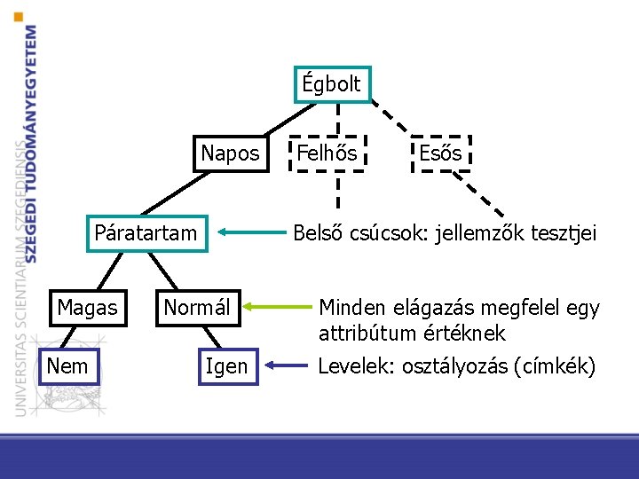 Égbolt Napos Páratartam Magas Nem Felhős Esős Belső csúcsok: jellemzők tesztjei Normál Igen Minden