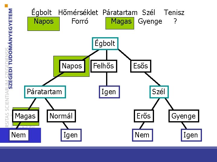 Égbolt Hőmérséklet Páratartam Szél Tenisz Napos Forró Magas Gyenge ? Égbolt Napos Páratartam Magas