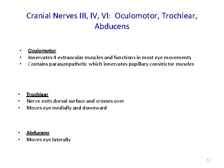 Cranial Nerves III, IV, VI: Oculomotor, Trochlear, Abducens • • • Oculomotor Innervates 4