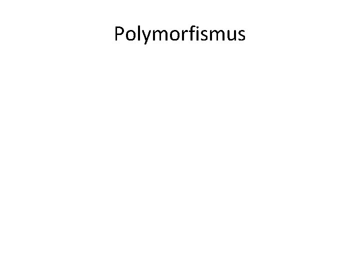 Polymorfismus 