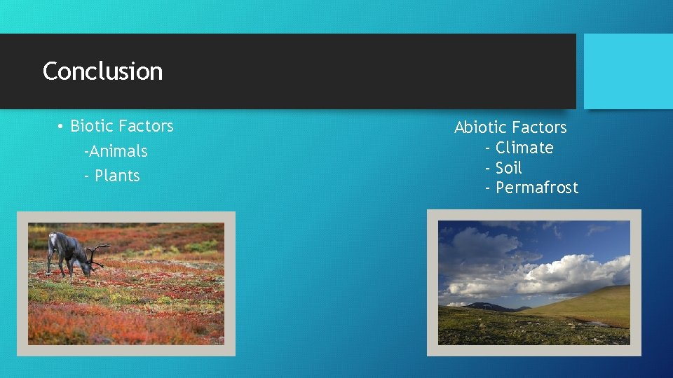 Conclusion • Biotic Factors -Animals - Plants Abiotic Factors - Climate - Soil -