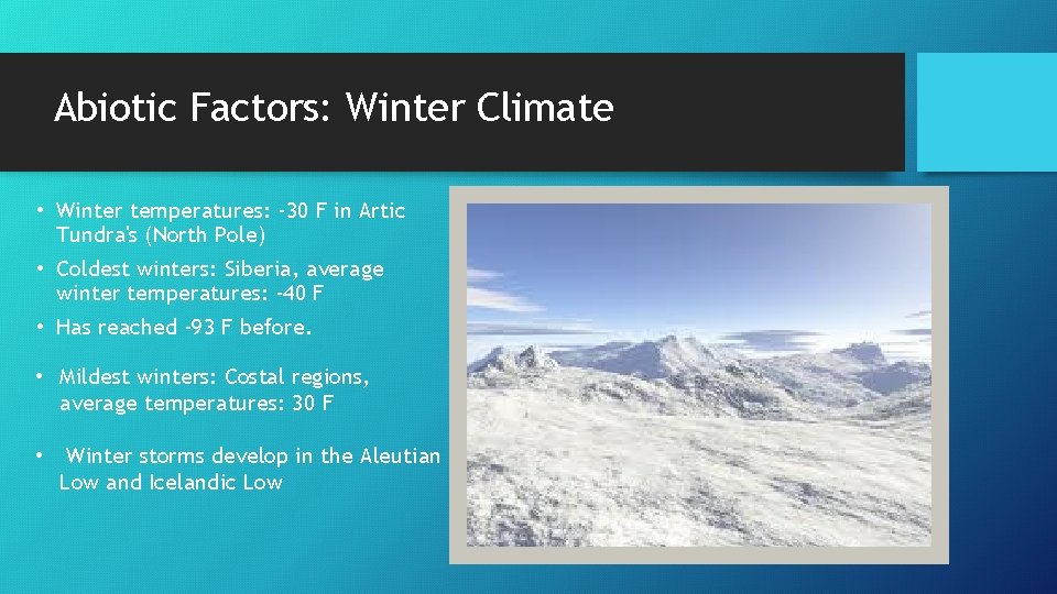 Abiotic Factors: Winter Climate • Winter temperatures: -30 F in Artic Tundra's (North Pole)