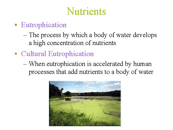 Nutrients • Eutrophication – The process by which a body of water develops a