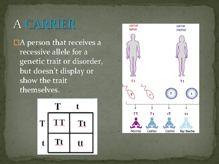 A CARRIER �A person that receives a recessive allele for a genetic trait or