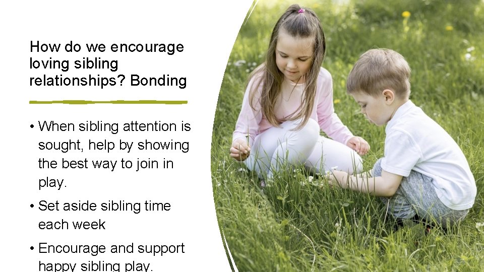 How do we encourage loving sibling relationships? Bonding • When sibling attention is sought,