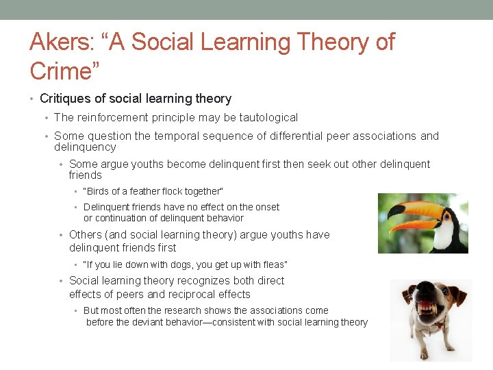 Akers: “A Social Learning Theory of Crime” • Critiques of social learning theory • Akers: “A Social Learning Theory of Crime” • Critiques of social learning theory •