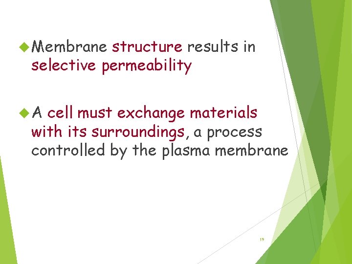 Membrane Permeability Membrane structure results in selective permeability A cell must exchange materials with