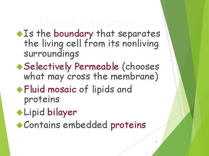  Is Plasma Membrane the boundary that separates the living cell from its nonliving