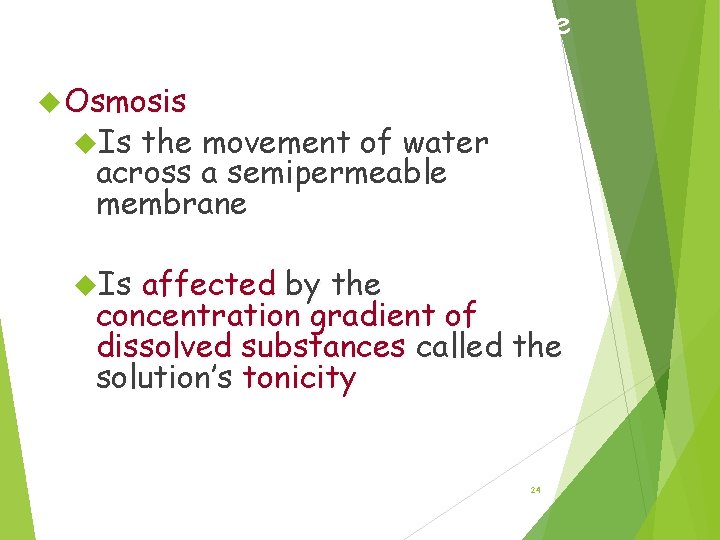 Effects of Osmosis on Water Balance Osmosis Is the movement of water across a
