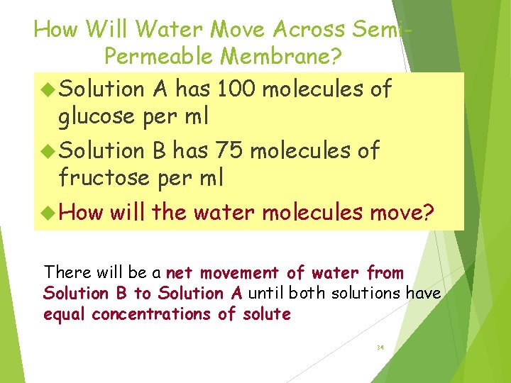 How Will Water Move Across Semi. Permeable Membrane? Solution A has 100 molecules of