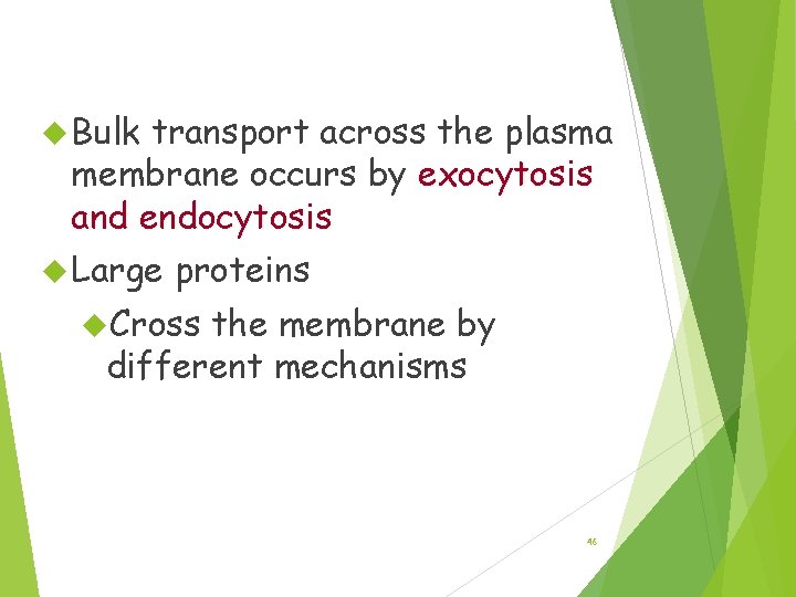  Bulk Transport transport across the plasma membrane occurs by exocytosis and endocytosis Large