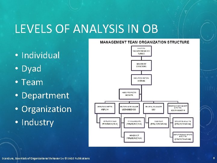 LEVELS OF ANALYSIS IN OB • • • Individual Dyad Team Department Organization Industry