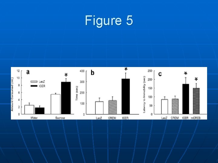 Figure 5 