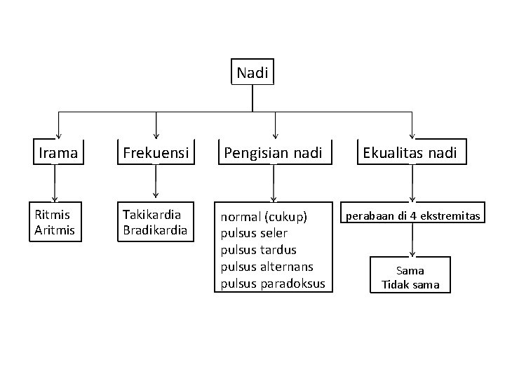 Nadi Irama Frekuensi Pengisian nadi Ekualitas nadi Ritmis Aritmis Takikardia Bradikardia normal (cukup) pulsus