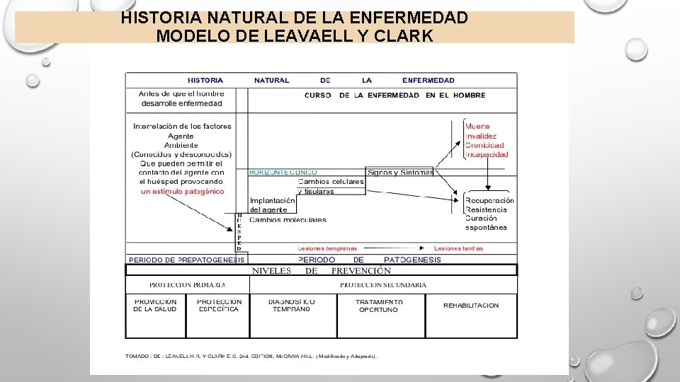 HISTORIA NATURAL DE LA ENFERMEDAD MODELO DE LEAVAELL Y CLARK 