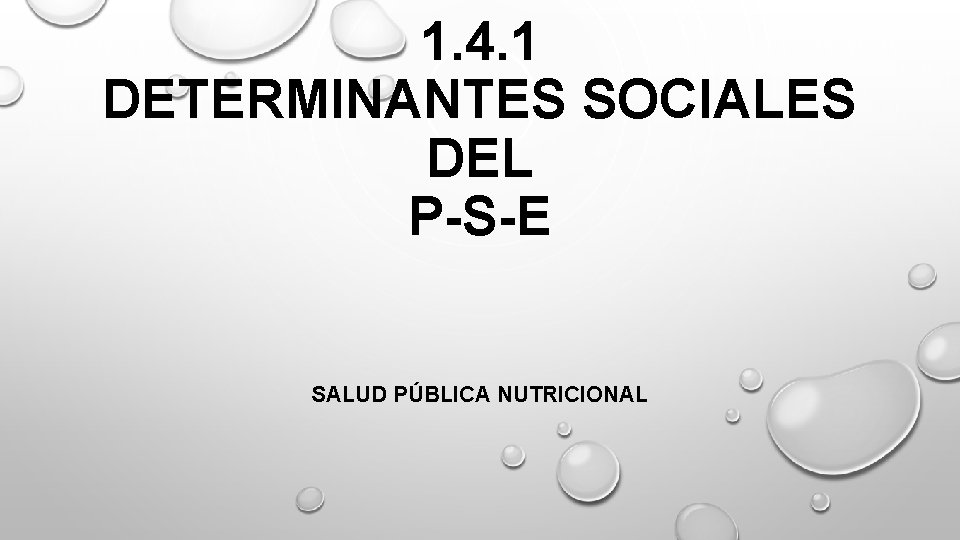 1. 4. 1 DETERMINANTES SOCIALES DEL P-S-E SALUD PÚBLICA NUTRICIONAL 