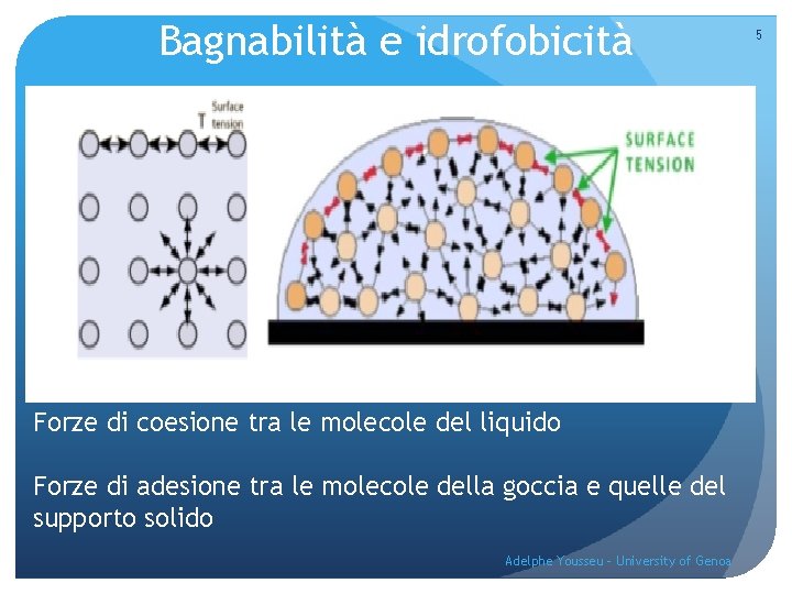 Bagnabilità e idrofobicità Forze di coesione tra le molecole del liquido Forze di adesione