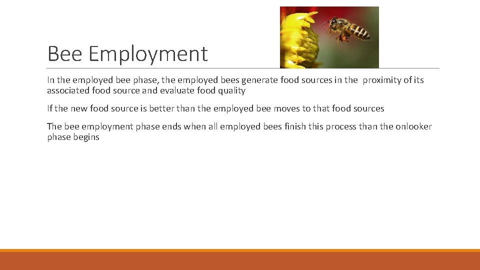 Bee Employment In the employed bee phase, the employed bees generate food sources in