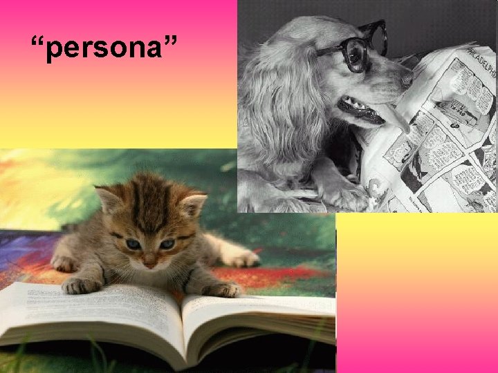 “persona” 