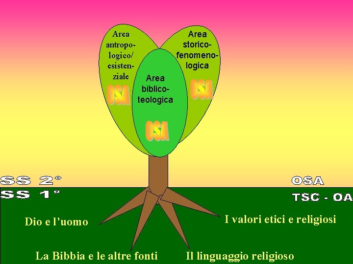 Area antropologico/ esistenziale Area storicofenomenologica Area biblicoteologica Dio e l’uomo La Bibbia e le