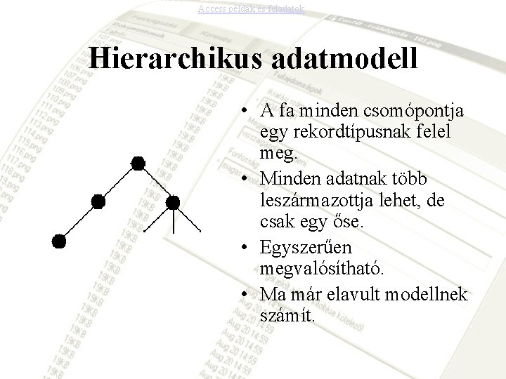 Access példák és feladatok Hierarchikus adatmodell • A fa minden csomópontja egy rekordtípusnak felel
