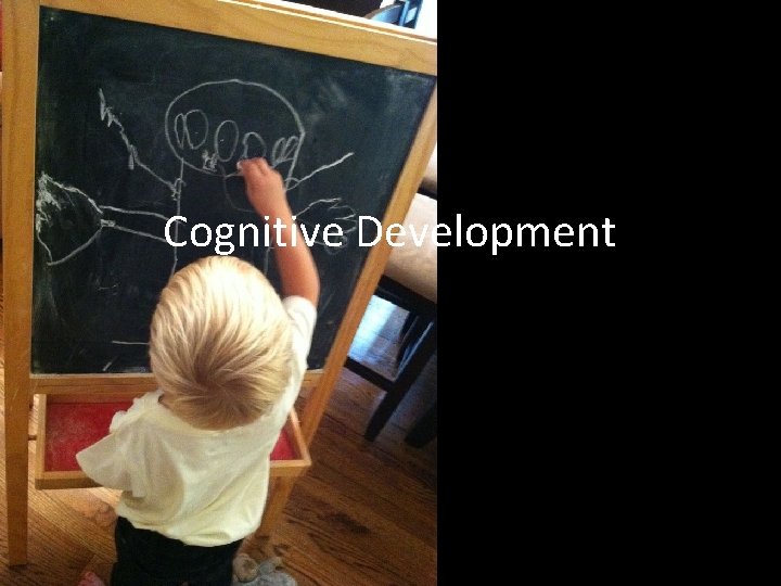 Cognitive Development 