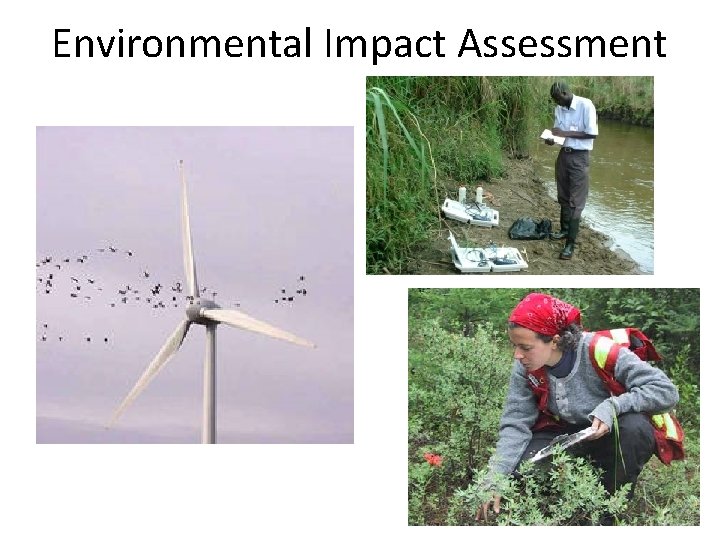 Environmental Impact Assessment 