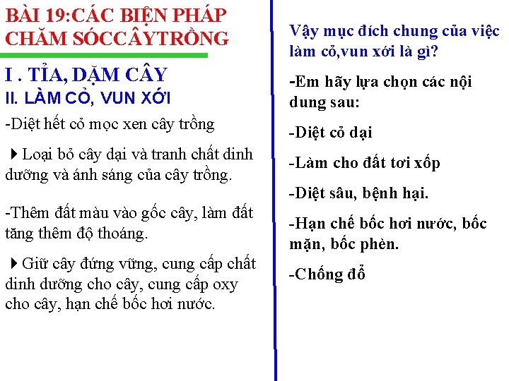 BÀI 19: CÁC BIỆN PHÁP CHĂM SÓCC YTRỒNG I. TỈA, DẶM C Y II.