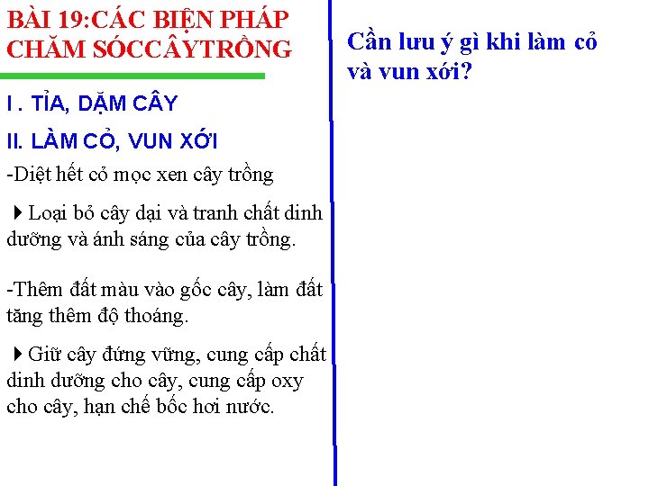 BÀI 19: CÁC BIỆN PHÁP CHĂM SÓCC YTRỒNG I. TỈA, DẶM C Y II.