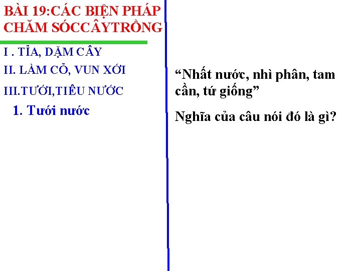 BÀI 19: CÁC BIỆN PHÁP CHĂM SÓCC YTRỒNG I. TỈA, DẶM C Y II.