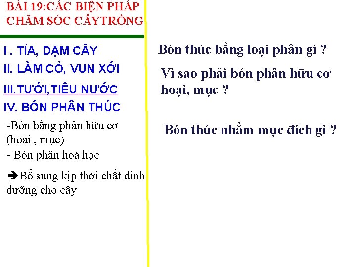 BÀI 19: CÁC BIỆN PHÁP CHĂM SÓC C YTRỒNG I. TỈA, DẶM C Y