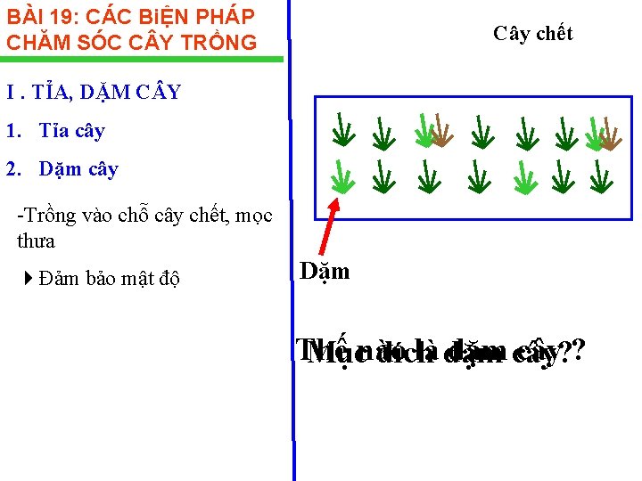 BÀI 19: CÁC BiỆN PHÁP CHĂM SÓC C Y TRỒNG Cây chết I. TỈA,