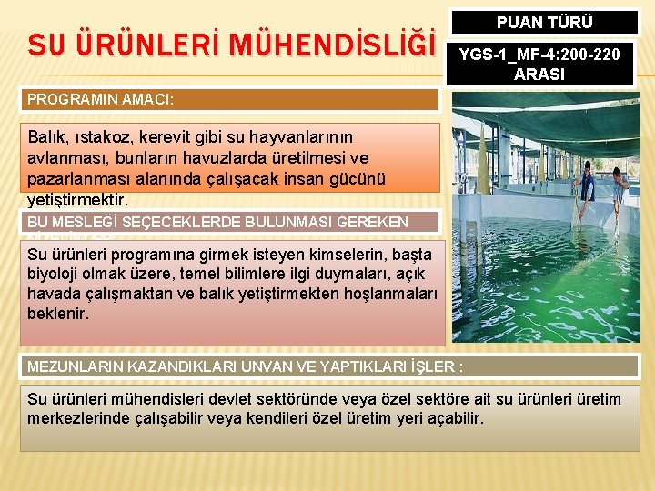 SU ÜRÜNLERİ MÜHENDİSLİĞİ PUAN TÜRÜ YGS-1_MF-4: 200 -220 ARASI PROGRAMIN AMACI: Balık, ıstakoz, kerevit