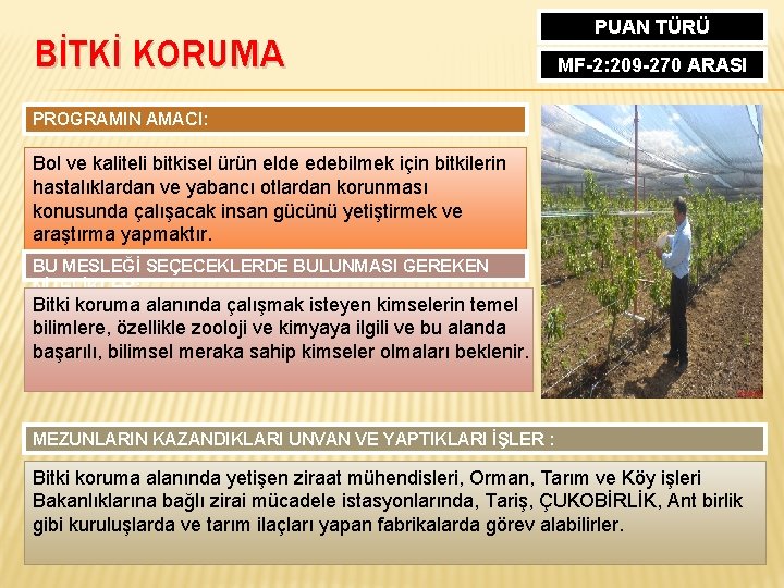 BİTKİ KORUMA PUAN TÜRÜ MF-2: 209 -270 ARASI PROGRAMIN AMACI: Bol ve kaliteli bitkisel