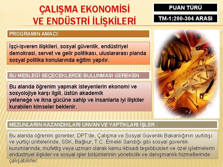 ÇALIŞMA EKONOMİSİ VE ENDÜSTRİ İLİŞKİLERİ PUAN TÜRÜ TM-1: 200 -304 ARASI PROGRAMIN AMACI: İşçi-işveren