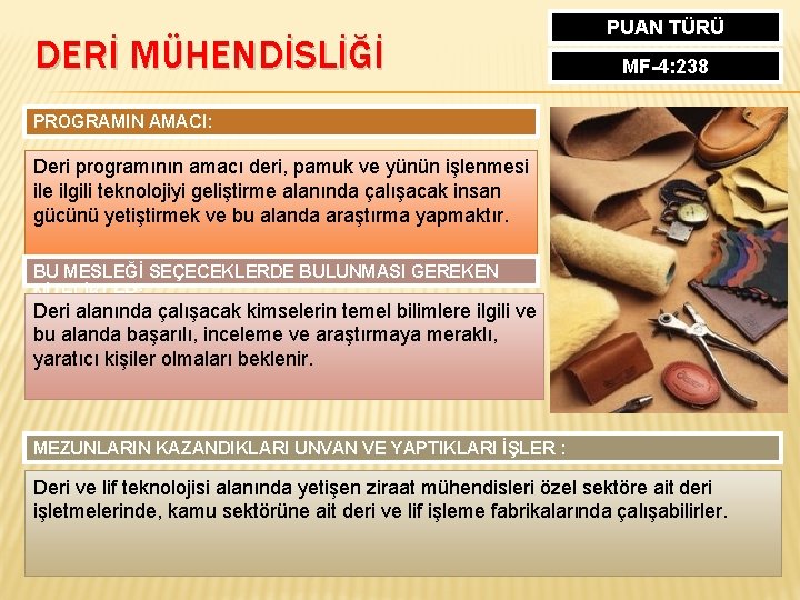 DERİ MÜHENDİSLİĞİ PUAN TÜRÜ MF-4: 238 PROGRAMIN AMACI: Deri programının amacı deri, pamuk ve