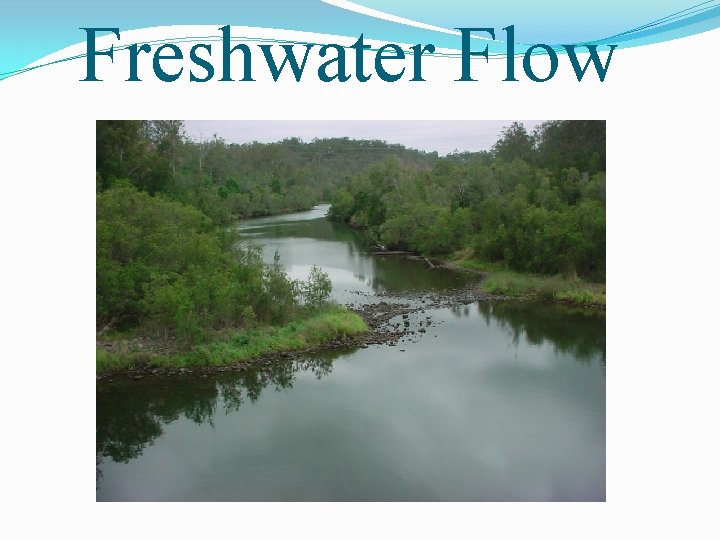 Freshwater Flow 