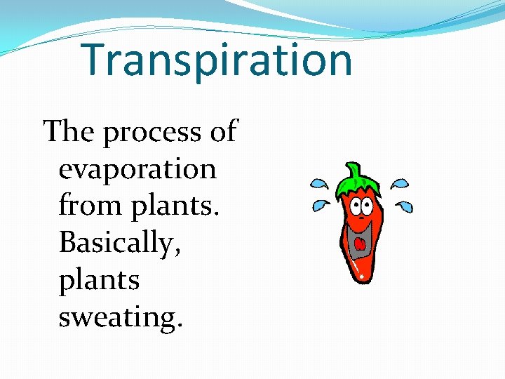 Transpiration The process of evaporation from plants. Basically, plants sweating. 