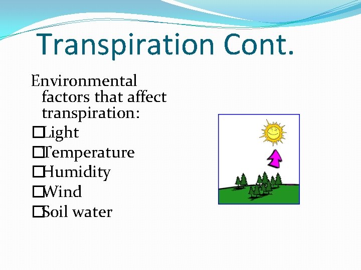 Transpiration Cont. Environmental factors that affect transpiration: �Light �Temperature �Humidity �Wind �Soil water 
