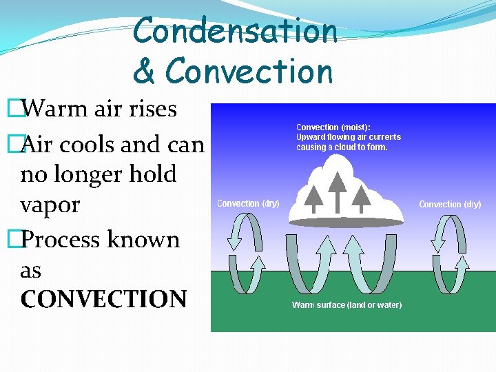 Condensation & Convection �Warm air rises �Air cools and can no longer hold vapor