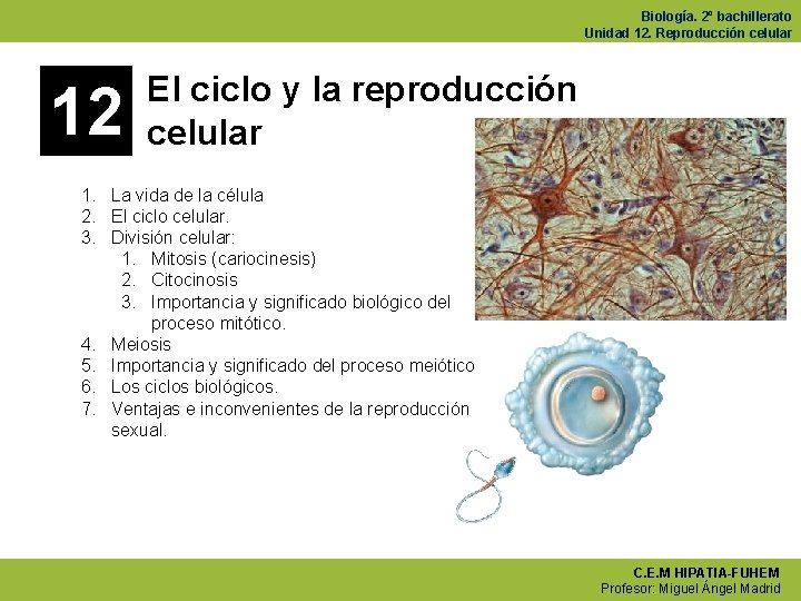 Biología. 2º bachillerato Unidad 12. Reproducción celular 12 El ciclo y la reproducción celular
